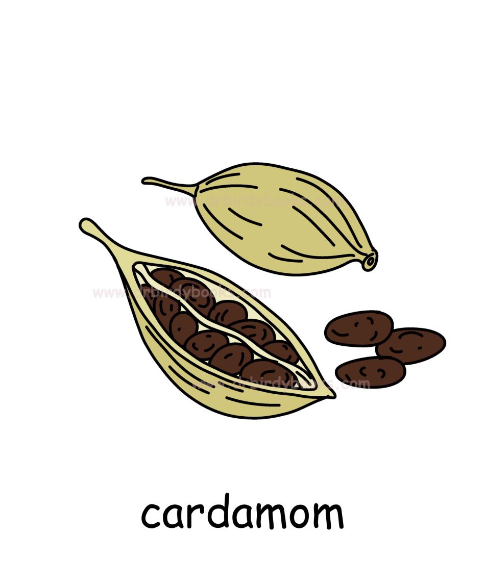 Vocabulary flashcard for the word "cardamom" with definition, pronunciation, and example sentences.