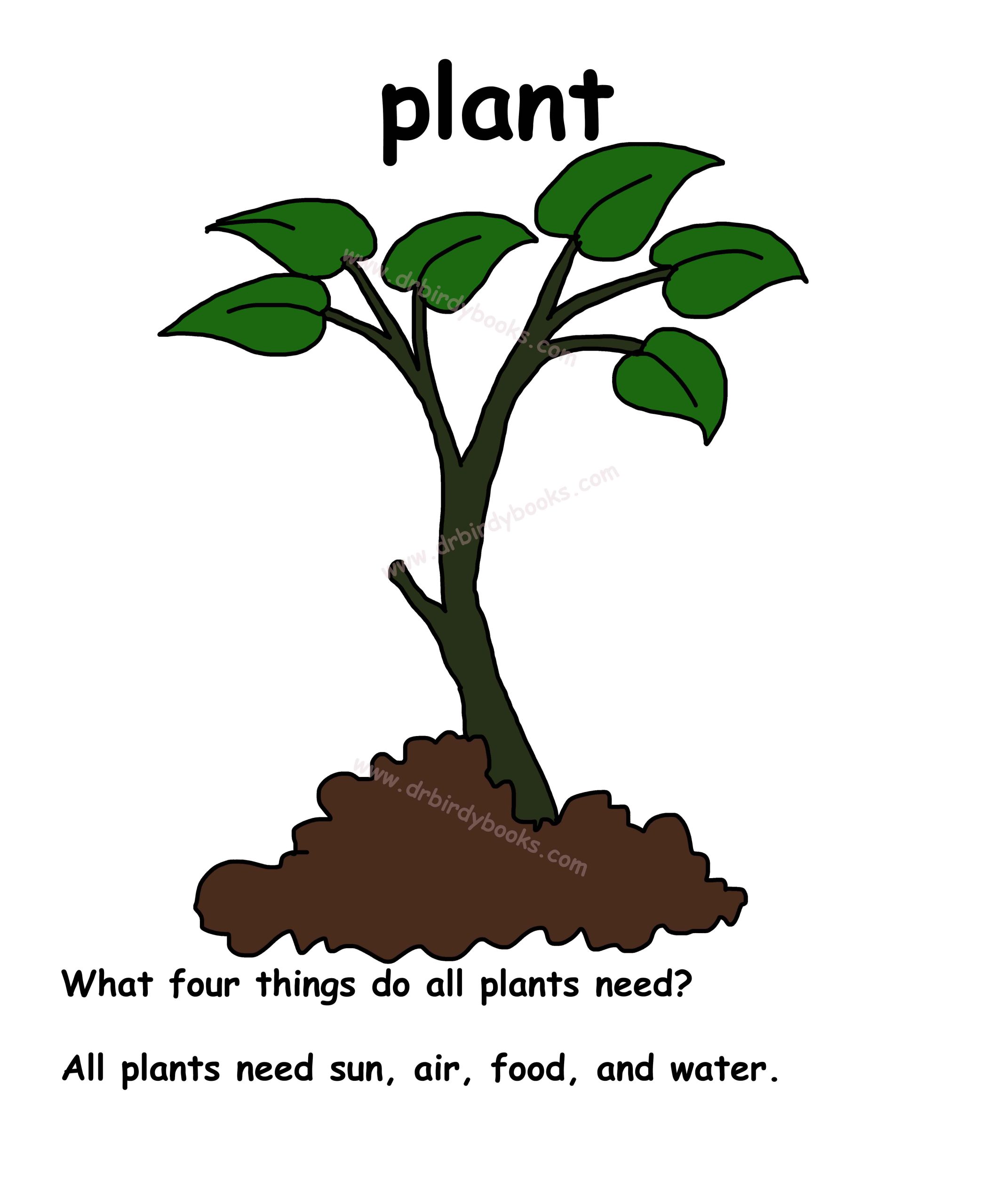 plant House and Garden _Household Objects_nature_our world_outdoors and space_nature_ plants our world camping daily vocabulary common vocabulary questions_answers