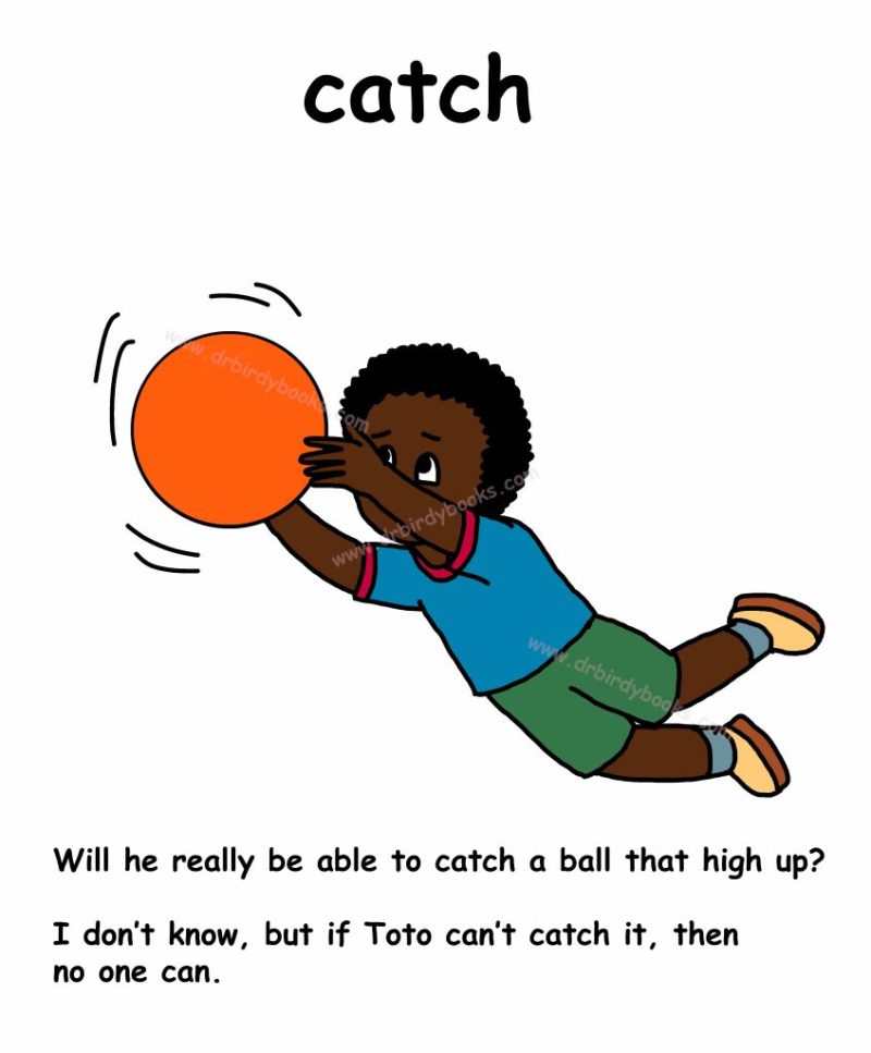 Catch | Dr. Birdy Books