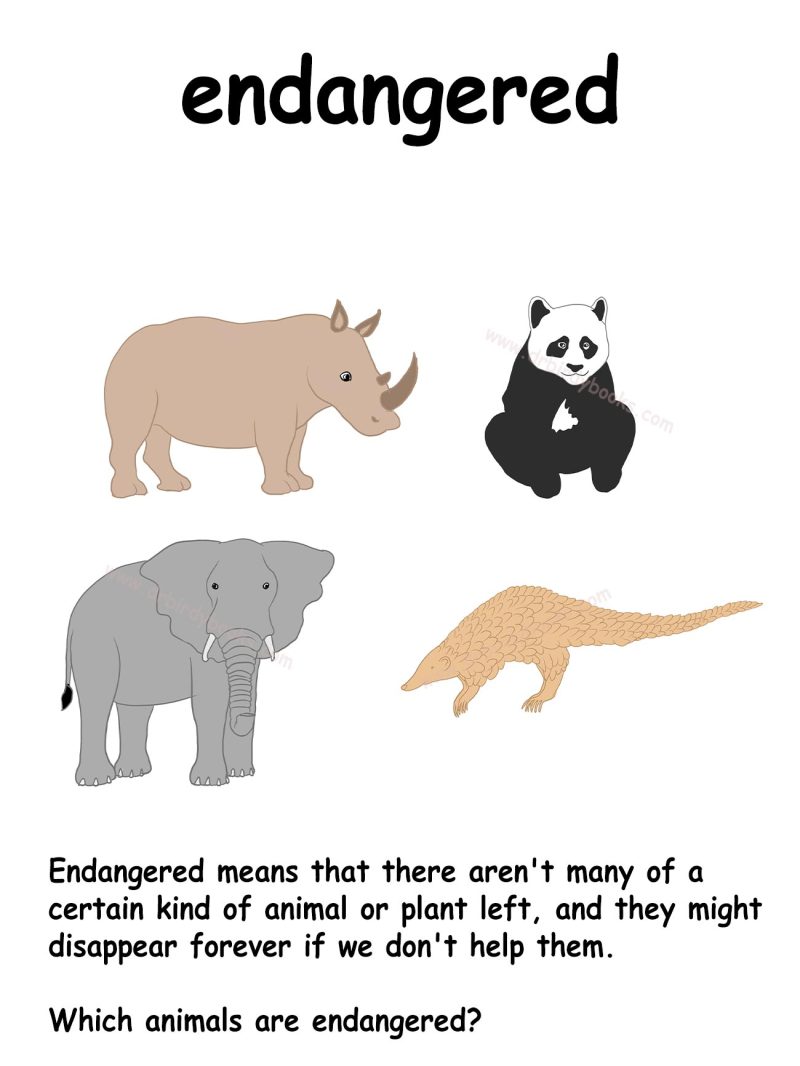 Endangered | Dr. Birdy Books